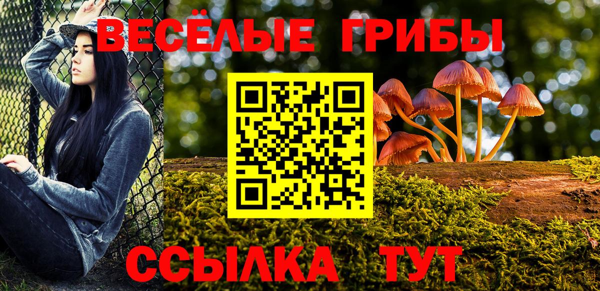 Галлюциногенные грибы Psilocybe Химки