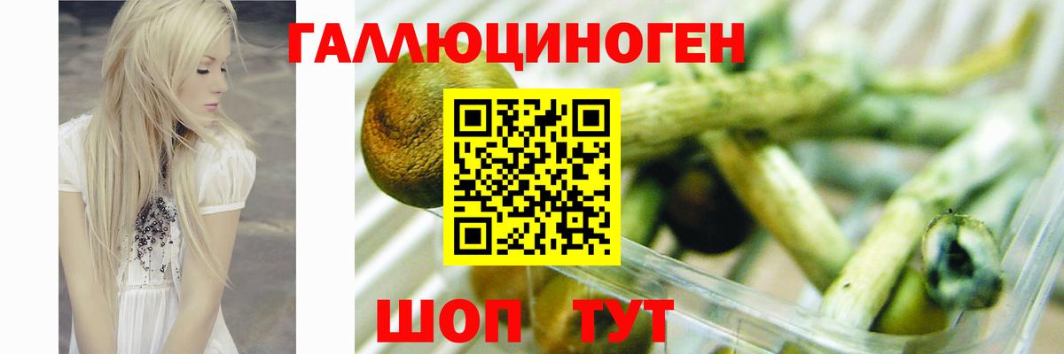 Псилоцибиновые грибы MAGIC MUSHROOMS  Вход с VPN  Галлюциногенные грибы мухоморы  Химки 